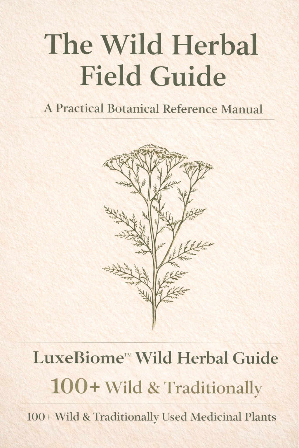 Wild Herbal Field Guide